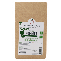Jus de pomme France bib 3L