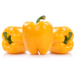 POIVRON JAUNE SERRES NON...