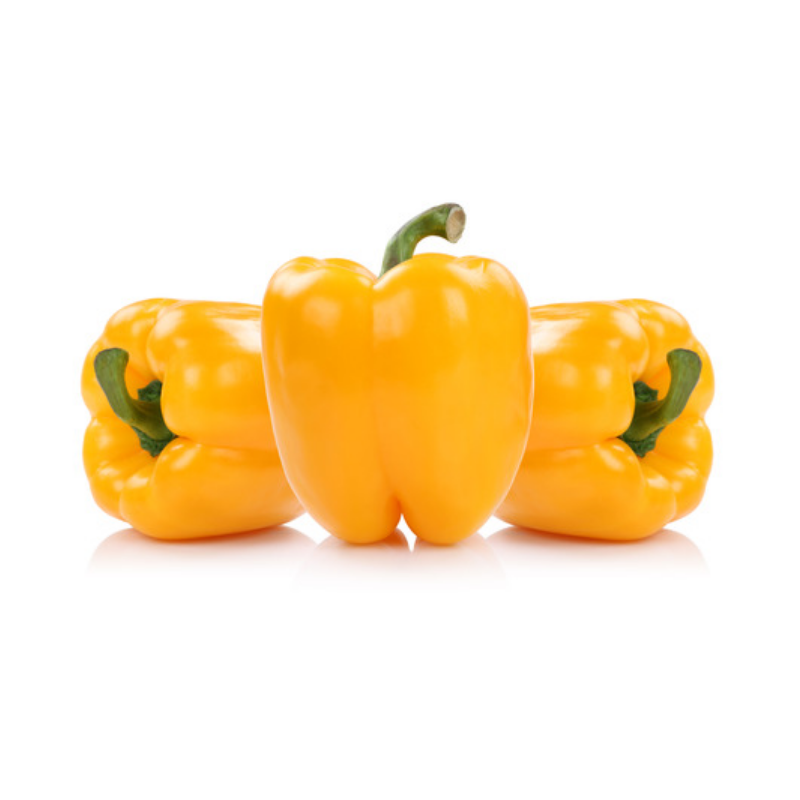 POIVRON JAUNE SERRES NON CHAUFFEES