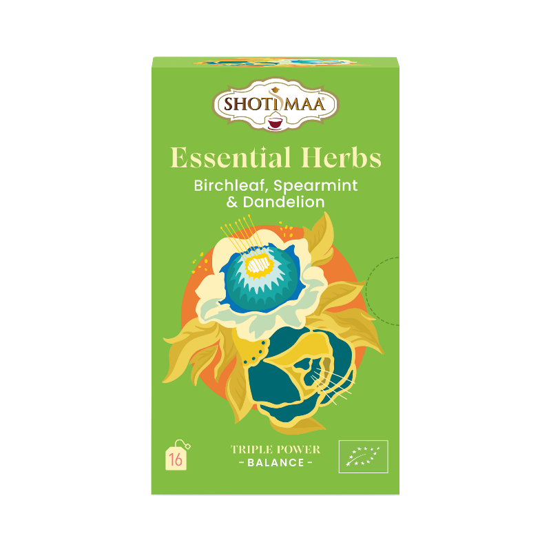 Infusion Equilibre basique : feuilles de bouleau, menthe verte et pissenlit 16 s