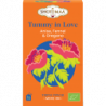 Infusion Tummy in love : anis, fenouil et origan 16 sachets