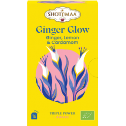 Infusion Ginger glow :...