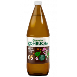 Kombucha soba sarrasin...
