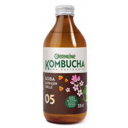 Kombucha soba sarrasin...
