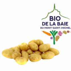 POMME DE TERRE DE...