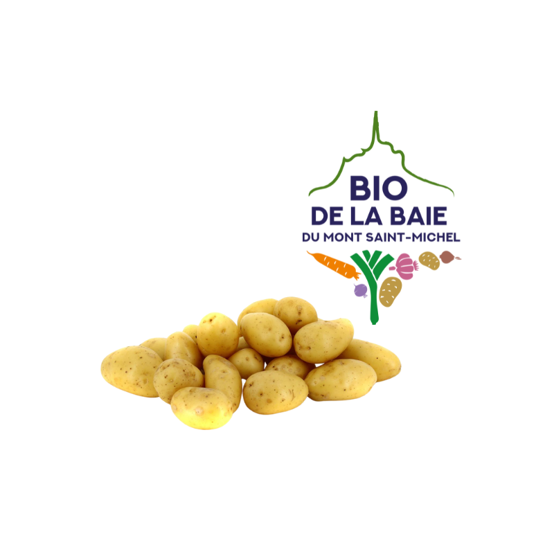 POMME DE TERRE DE CONSOMMATION GRENAILLE NON LAVEE ALLIANS CHAIR FERME BBMSM