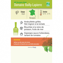 Vin blanc AOC Bourgogne Aligoté Domaine Bailly-Lapierre 75cl