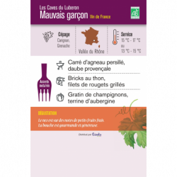 Vin rouge Vin de France Mauvais garçon" 75cl"