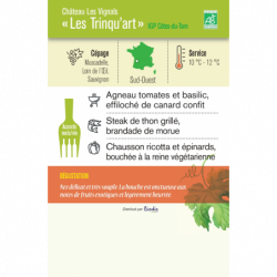 Vin blanc IGP Côtes du Tarn Soif Art" 75cl"