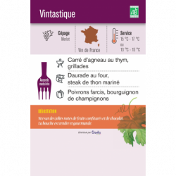 Vin rouge merlot Vintastique 75cl