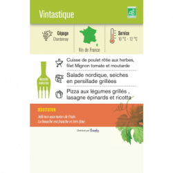 Vin blanc chardonnay Vintastique 75cl