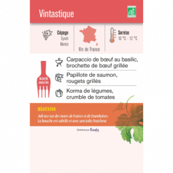 Vin rosé syrah et merlot Vintastique 75cl