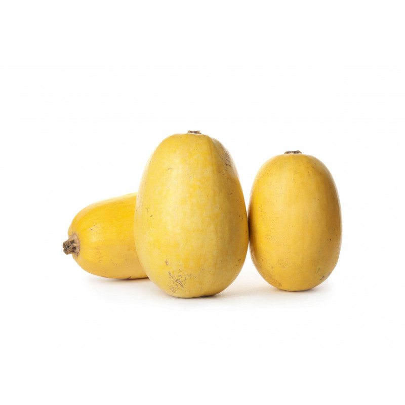 COURGE SPAGHETTI 1.5KG  MARAICHERS BIO DE BRETAGNE