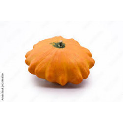 COURGE PATISSON 500G MARAICHERS BIO DE BRETAGNE