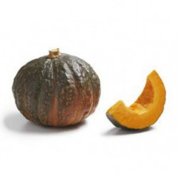 COURGE POTIMARRON VERT 1KG...