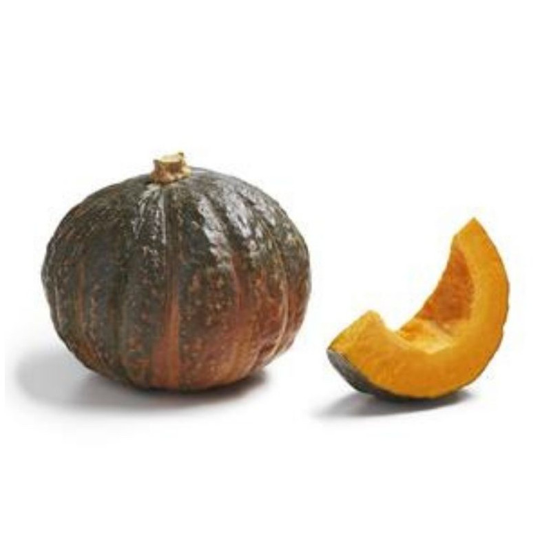 COURGE POTIMARRON VERT 1KG MARAICHERS BIO DE BRETAGNE