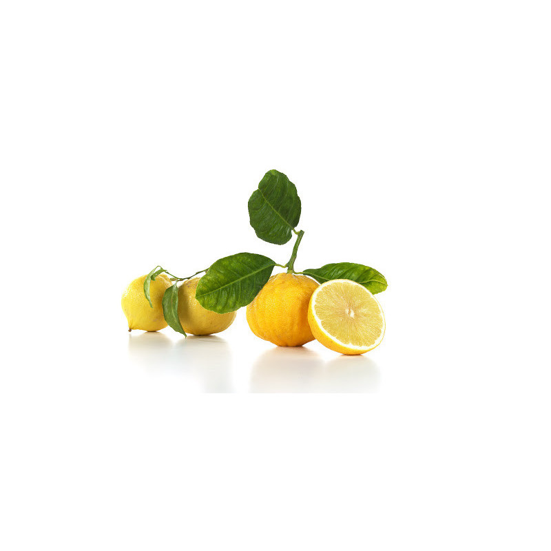 CITRON BERGAMOTE