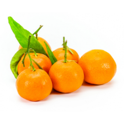 CLEMENTINE FEUILLES CORSE...