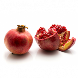 EXO GRENADE VARIETE MOLLAR...