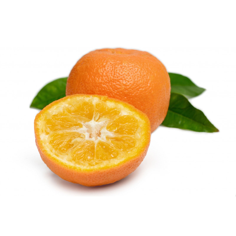 ORANGE AMERE AVE MARIA