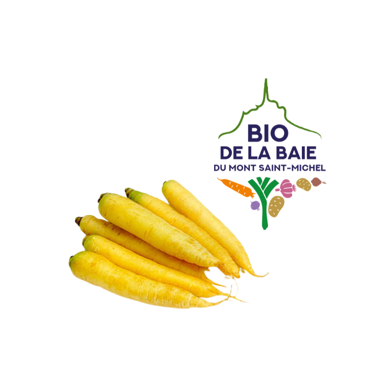 CAROTTE LAVEE JAUNE BIO DE LA BAIE DU MONT SAINT MICHEL®
