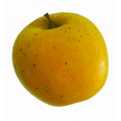 POMME OPAL® Biodynamie...