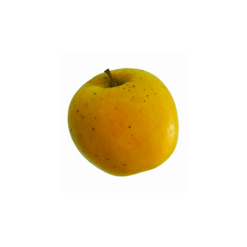 POMME OPAL® Biodynamie variété UEB 32642 cov. cal 115+gr Coteaux Nantais