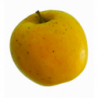 POMME OPAL® Biodynamie variété UEB 32642 cov. cal 115+gr Coteaux Nantais