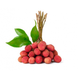 EXO LITCHI BOUQUET REUNION...