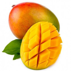 EXO MANGUE KEITT x9P