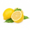 CITRON JAUNE FEUILLE DE CORSE cal 5