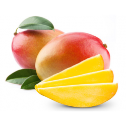 EXO MANGUE KEITT cal 8