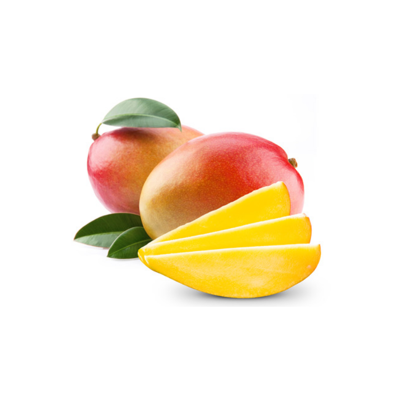 EXO MANGUE KEITT cal 8