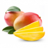 EXO MANGUE KEITT cal 8