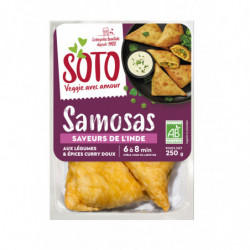 Samosas India avec un...