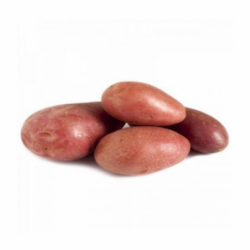 POMME DE TERRE DE...