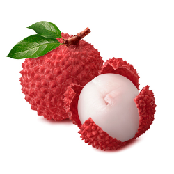 EXO LITCHI BOUQUET REUNION...