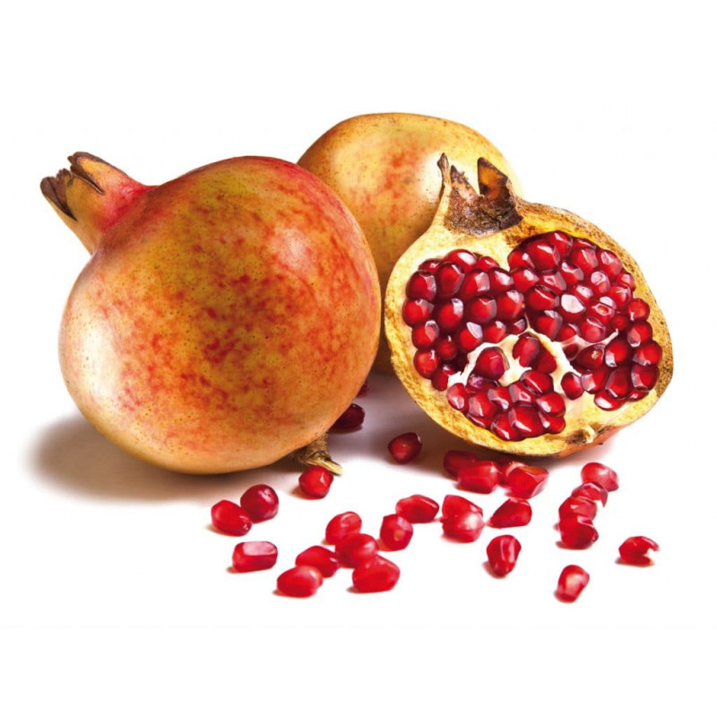 EXO GRENADE MOLLAR 12P