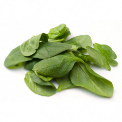 S.JEUNE POUSSE EPINARD 125G