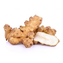 TOPINAMBOUR HELLIANTI