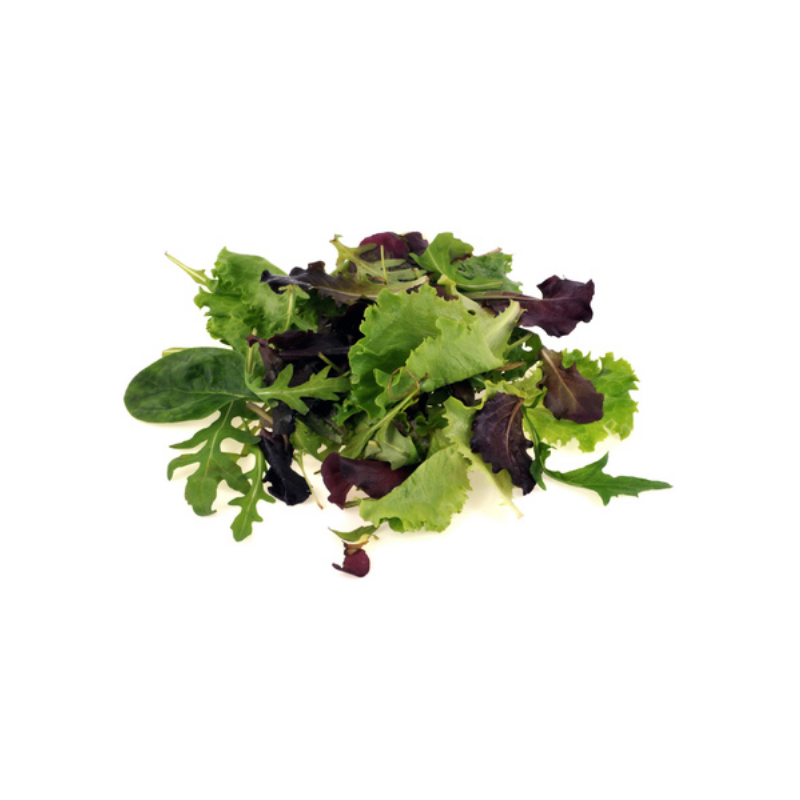 SALADE JEUNE POUSSE MESCLUN BARQUETTE 125GR