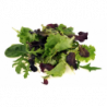 SALADE JEUNE POUSSE MESCLUN BARQUETTE 125GR