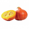 COURGE POTIMARRON ORANGE