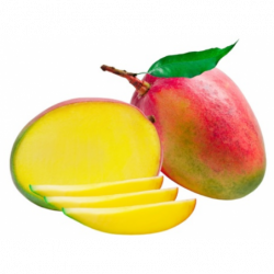 EXO MANGUE KENT x8P