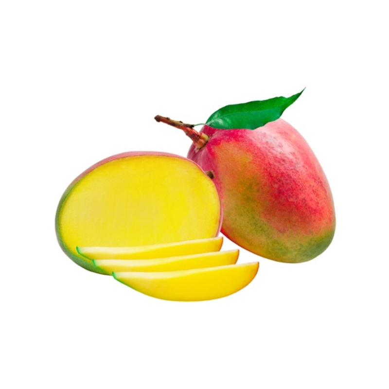 EXO MANGUE KENT x8P