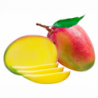 EXO MANGUE KENT x8P