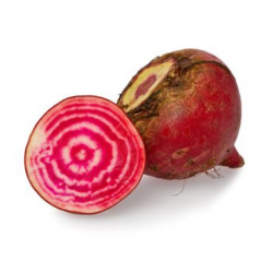 BETTERAVE CRUE CHIOGGIA...