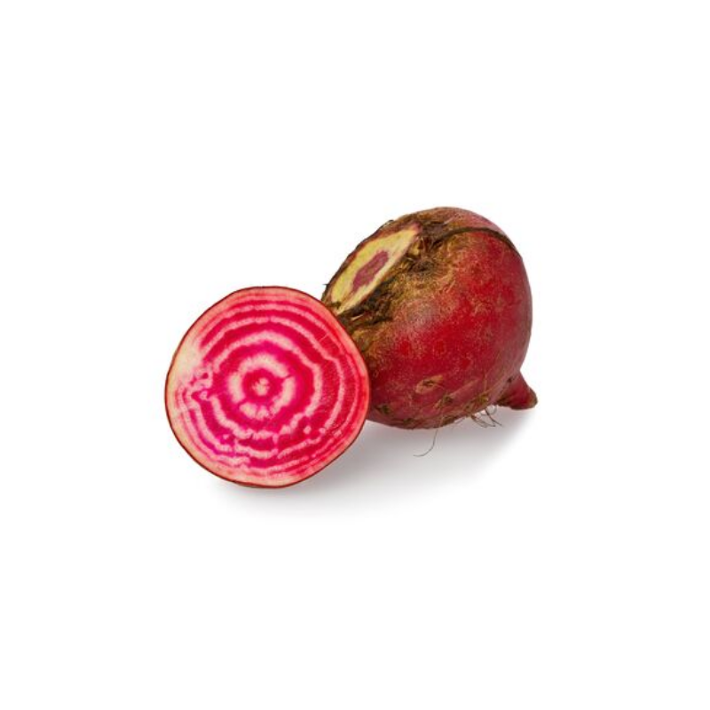 BETTERAVE CRUE CHIOGGIA ¨PRINCE DE BRETAGNE