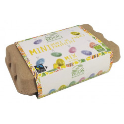 Boite d'oeufs de Pâques...