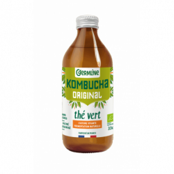 Kombucha original thé vert...